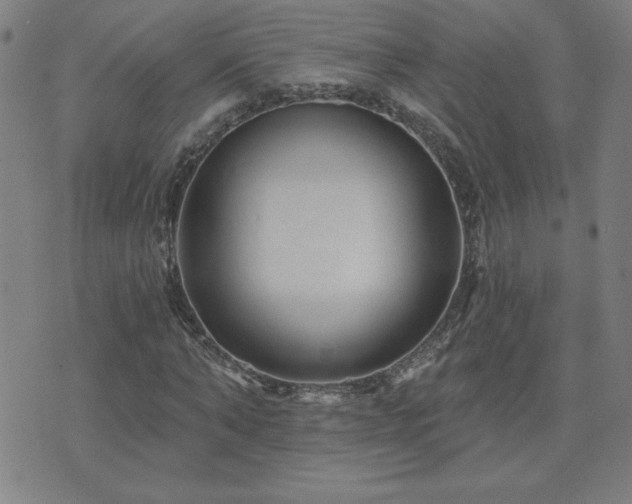 X0000071850870200606301335