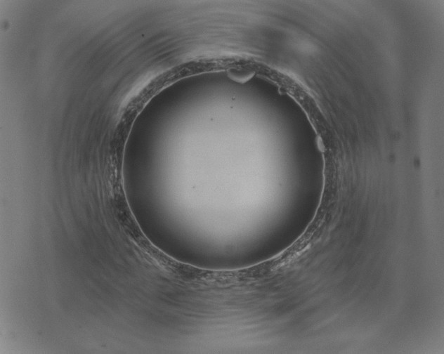 X0000071850871200606301335