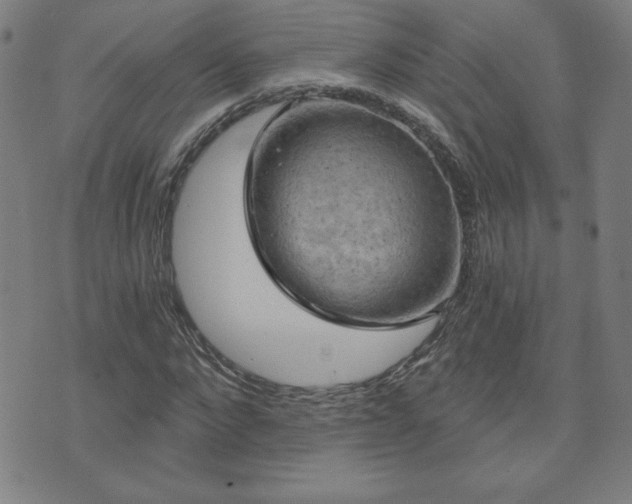 X0000071850872200606301335