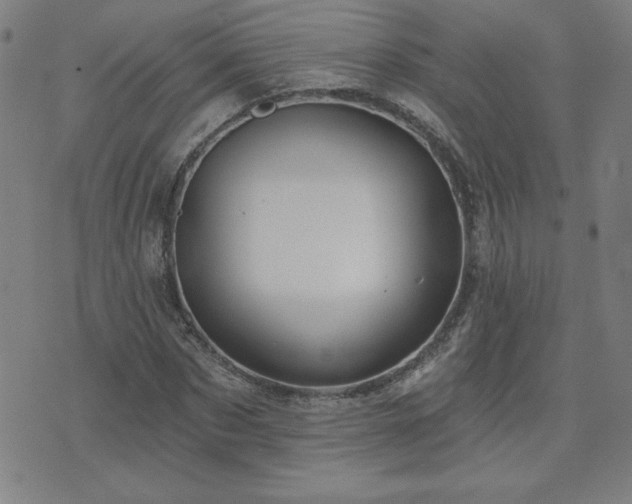 X0000071850873200606301335