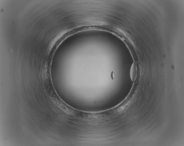 X0000071850875200606301335