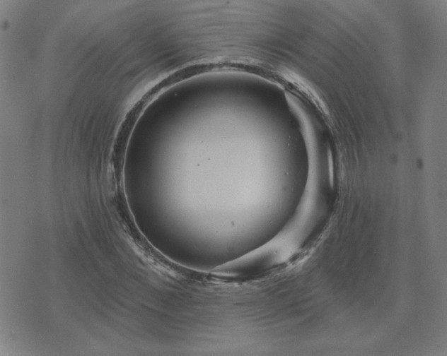 X0000071850876200606301335