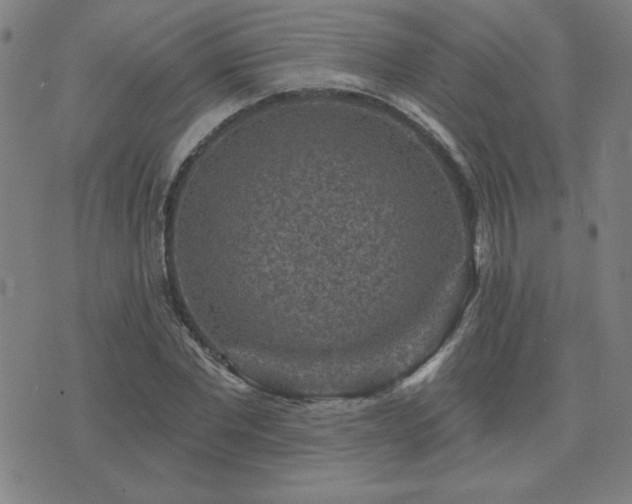 X0000071850877200606301335