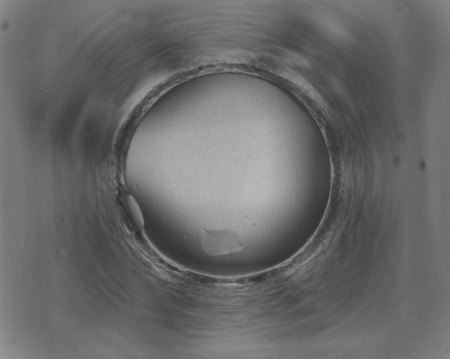 X0000071850878200606301335