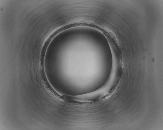 X0000071850880200606301334