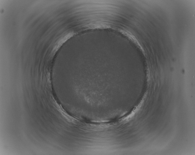 X0000071850881200606301334