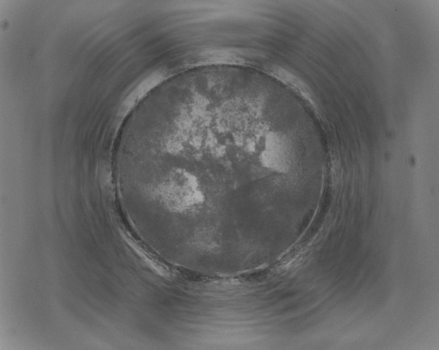 X0000071850882200606301334