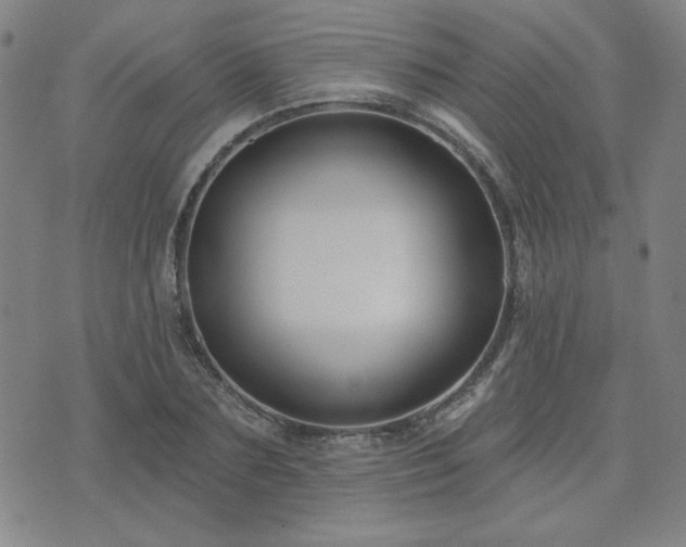 X0000071850883200606301334