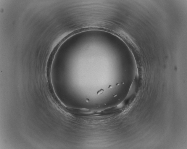 X0000071850884200606301334