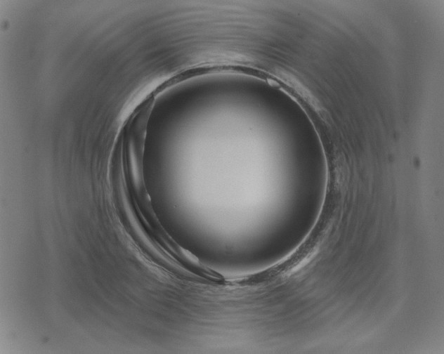 X0000071850885200606301334