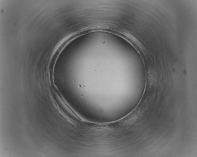 X0000071850886200606301334