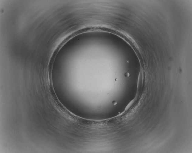 X0000071850887200606301334