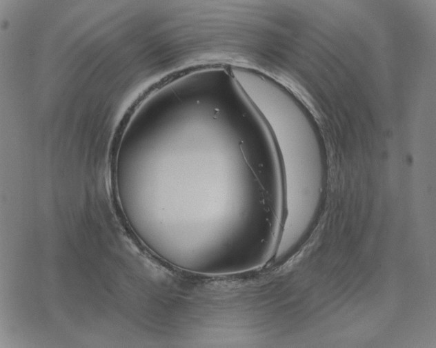 X0000071850888200606301334