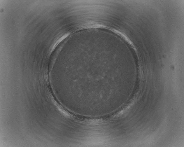 X0000071850889200606301334