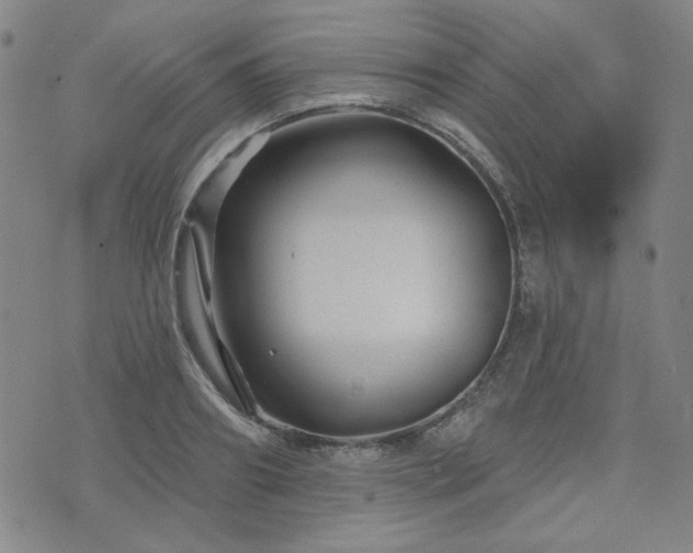 X0000071850890200606301334