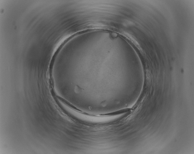 X0000071850891200606301334