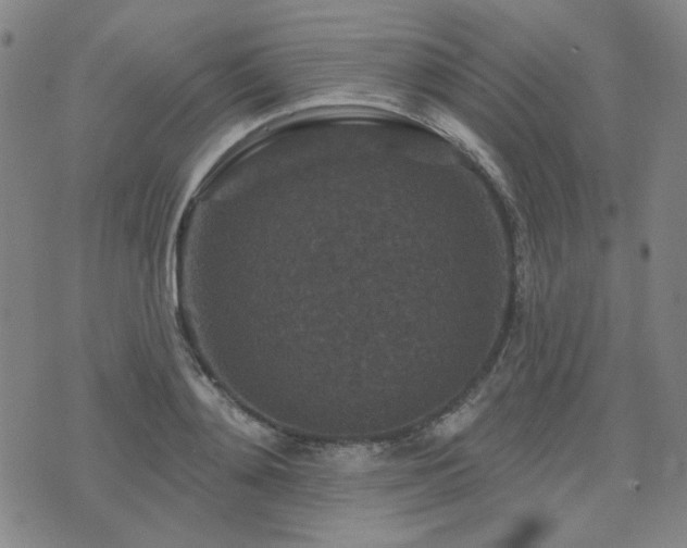 X0000071850892200606301334