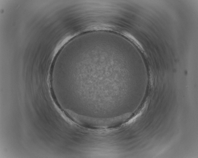 X0000071850893200606301334