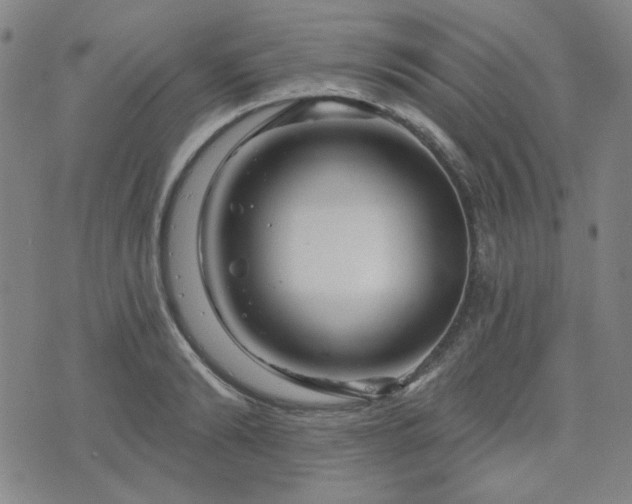 X0000071850894200606301334