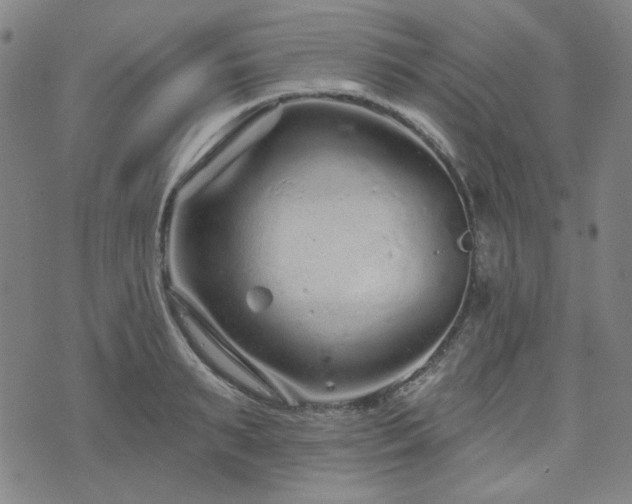 X0000071850895200606301334