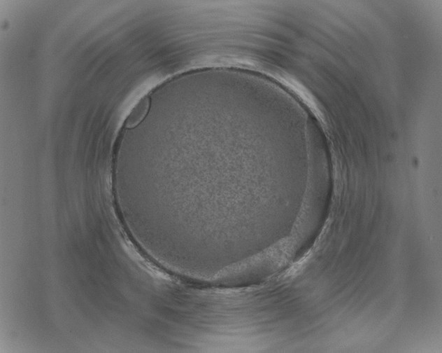 X0000071850896200606301334