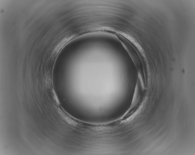 X0000071850897200606301334