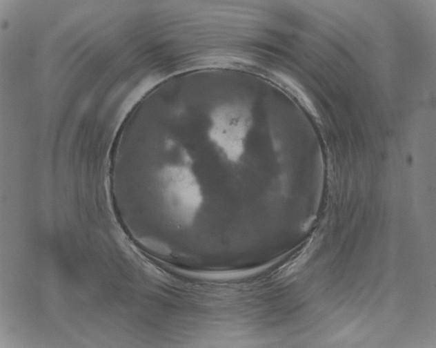 X0000071850899200606301334