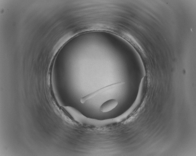 X0000071850900200606301334