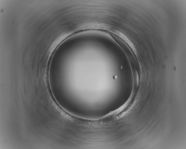 X0000071850901200606301334