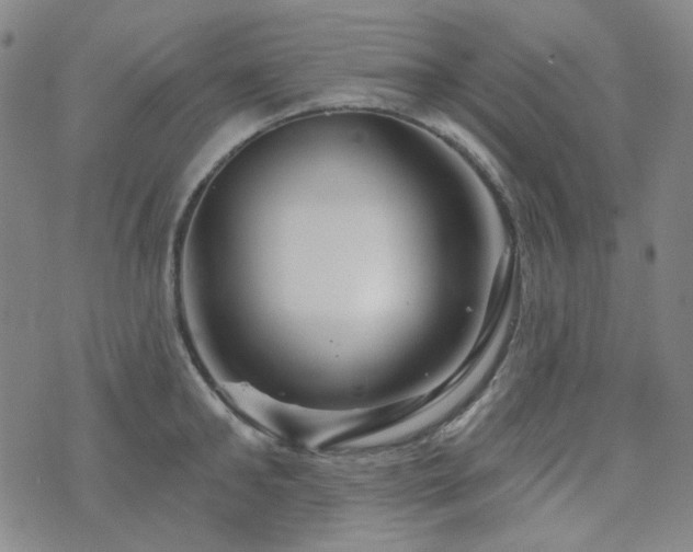 X0000071850902200606301334