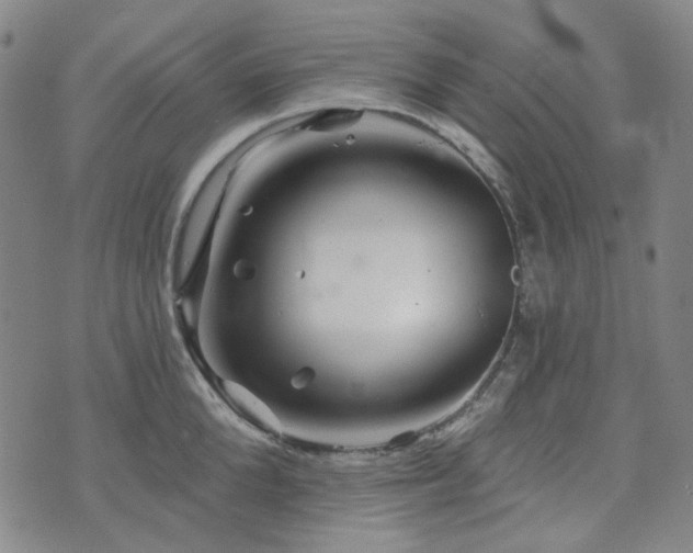 X0000071850904200606301334