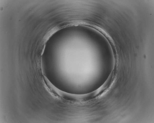 X0000071850905200606301334