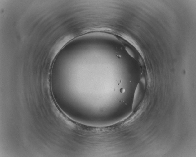 X0000071850906200606301334