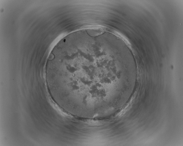 X0000071850907200606301334