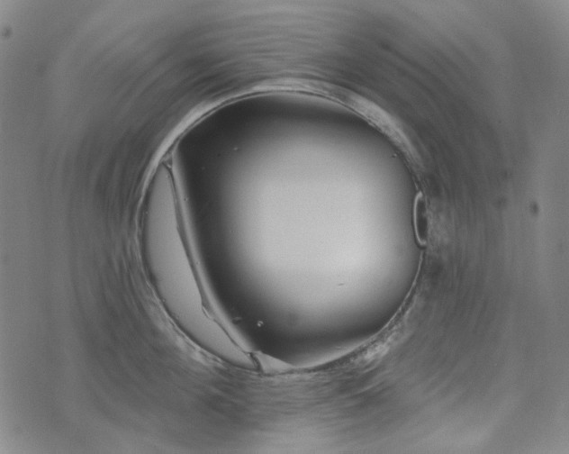 X0000071850908200606301334