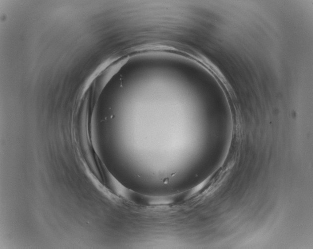 X0000071850909200606301334