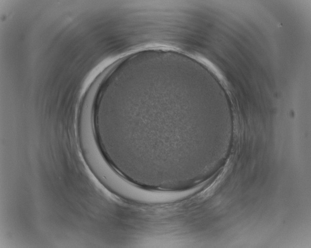 X0000071850910200606301334