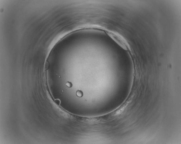 X0000071850911200606301334