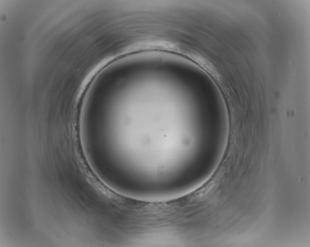 X0000071850912200606301334