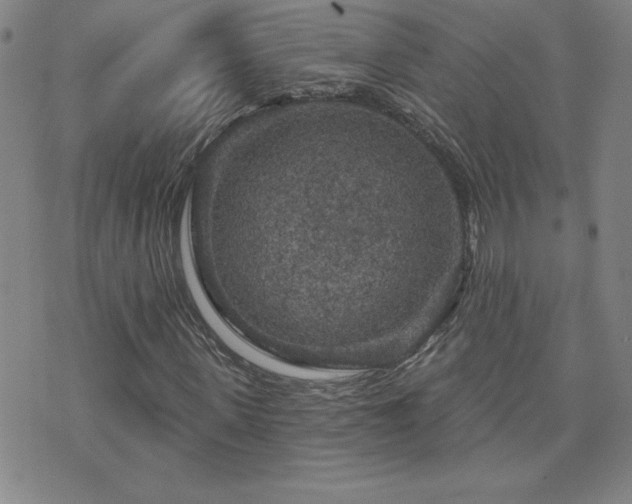 X0000071850915200606301333