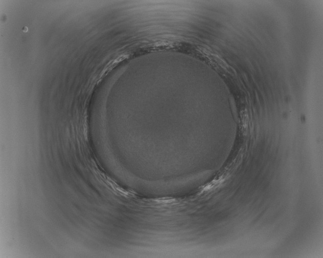 X0000071850916200606301333