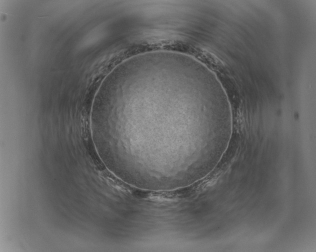 X0000071850917200606301333