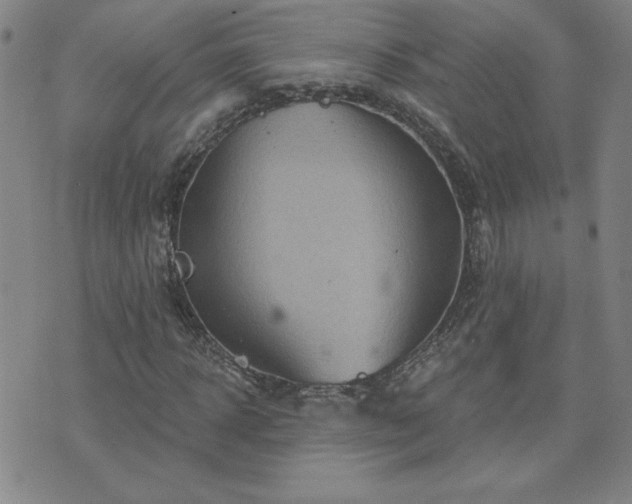 X0000071850918200606301333