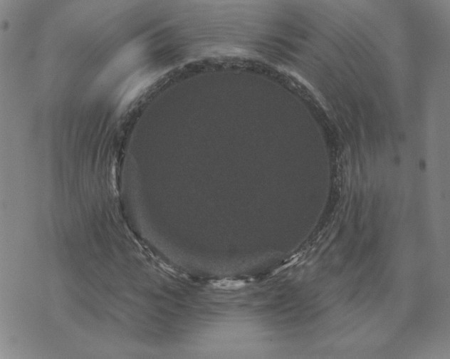 X0000071850919200606301333