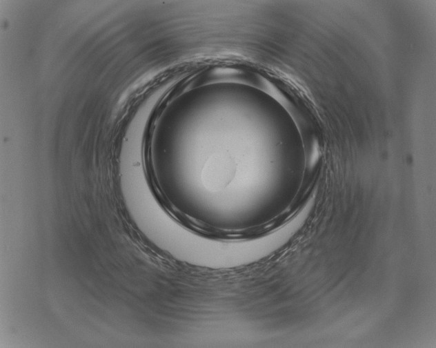 X0000071850920200606301333