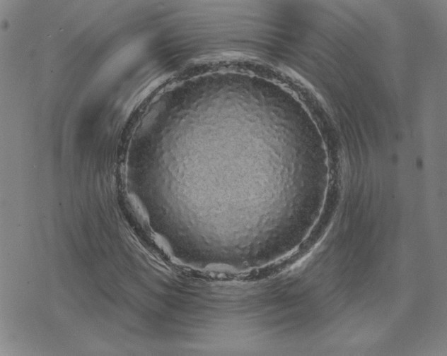 X0000071850921200606301333