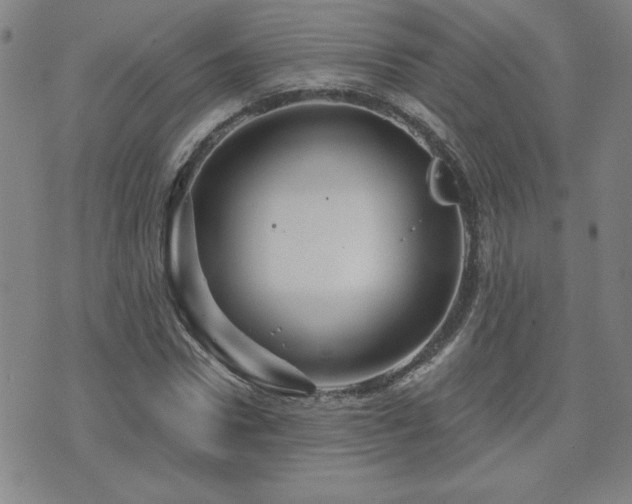 X0000071850922200606301333