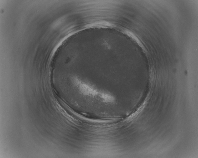 X0000071850923200606301333