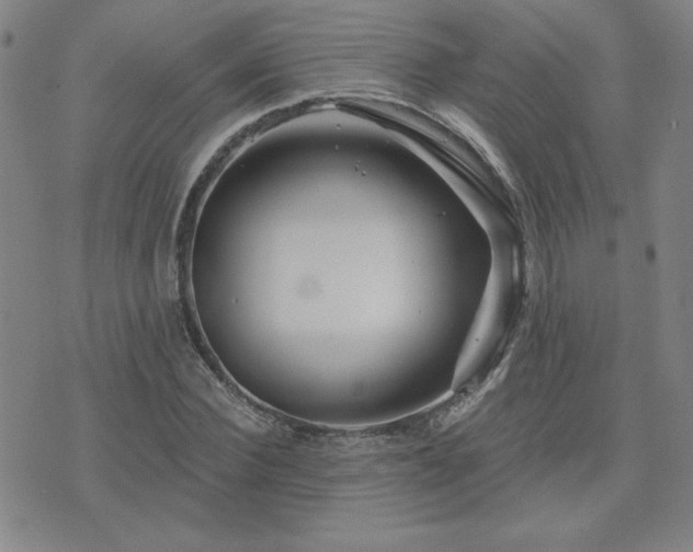 X0000071850924200606301333