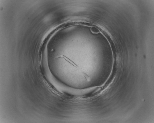 X0000071850925200606301333